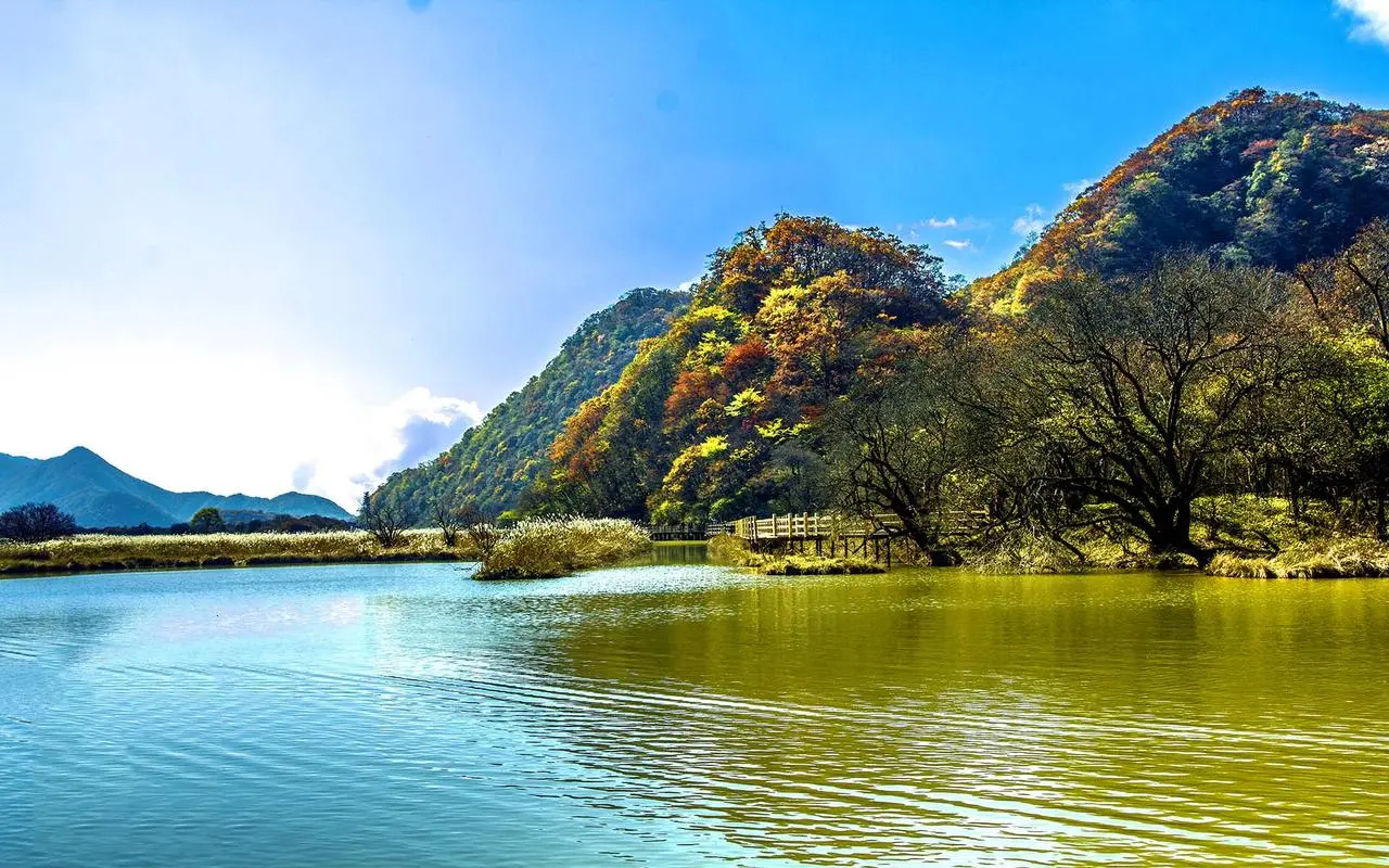 节能高性能高效